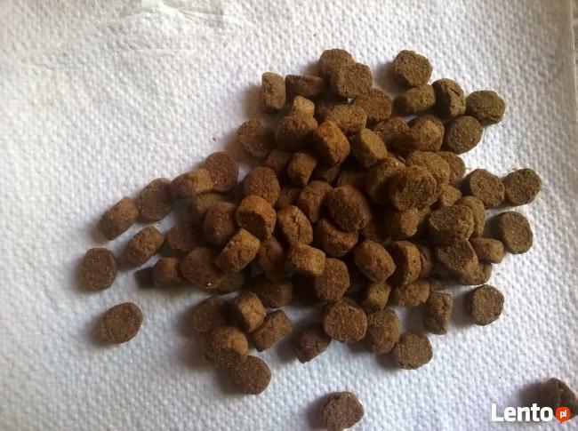 LECKER PREMIUM Wołowina z ryżem 30 kg PROMOCJA