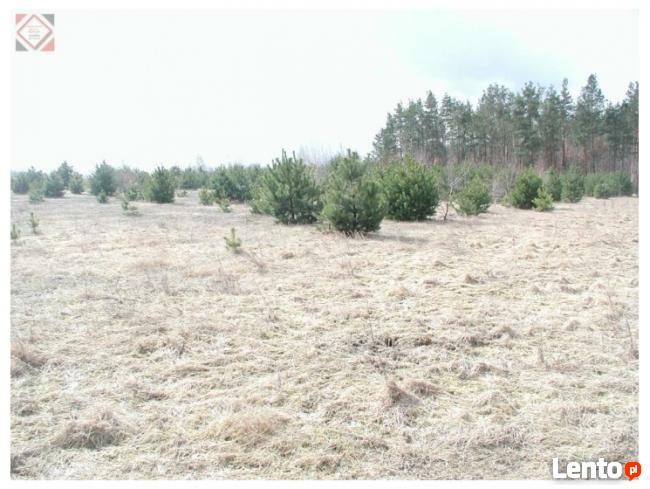 Działka budowlana ponad 1200 m2 za jedyne 190000zł !