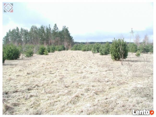 Działka budowlana ponad 1200 m2 za jedyne 190000zł !