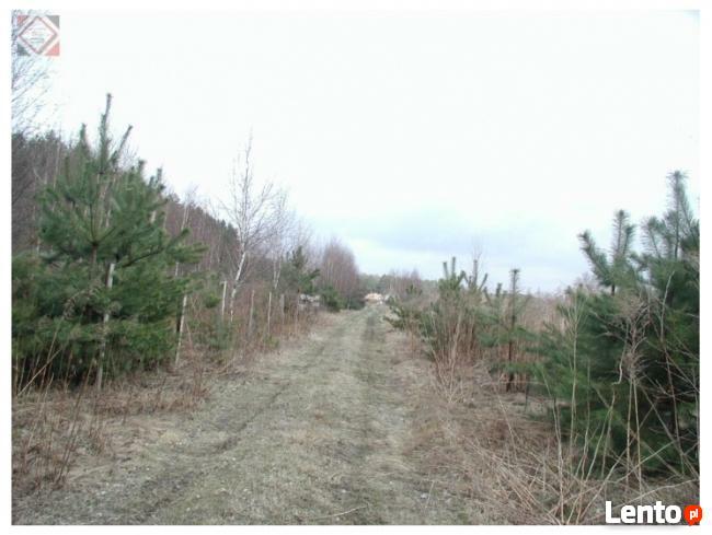 Działka budowlana ponad 1200 m2 za jedyne 190000zł !