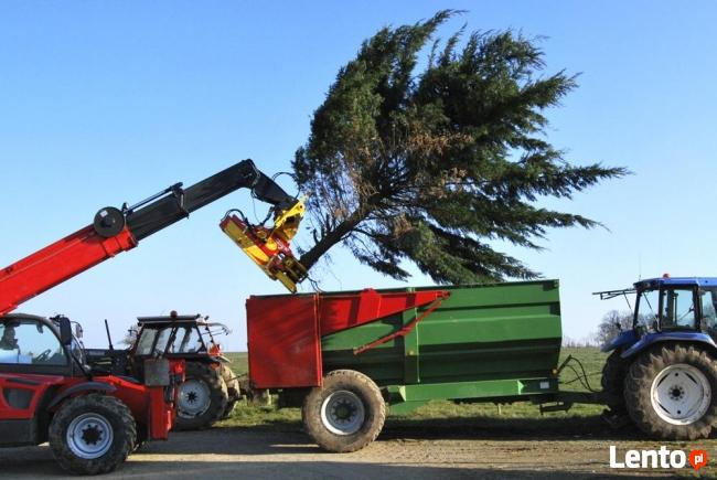 Chwytak do drewna firmy Rabaud