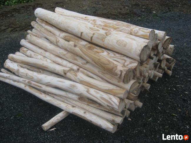 Korowarki do drewna firmy Rabaud ROBOPEL 150