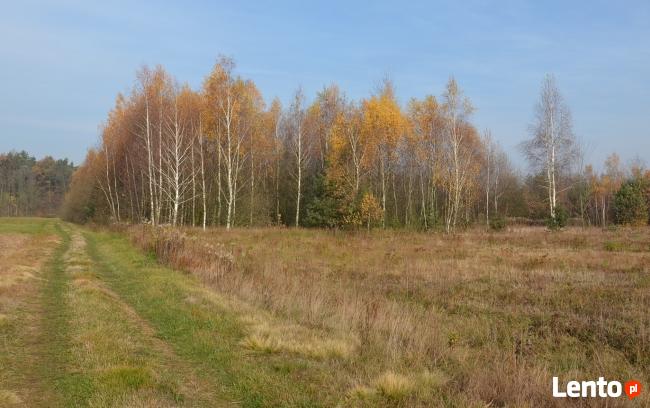 KOMPLEKS LEŚNY Z GRUNTEM ROLNYM 4,07ha - BLISKO MIASTA