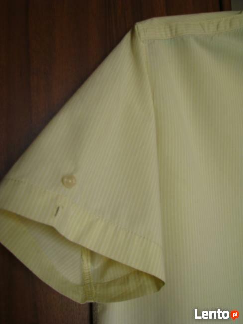 Koszula męska z krótkim rękawem, XL Carry