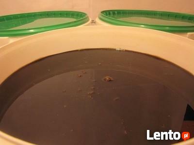 MELASA BEZ GMO! Certyfikat, numer weterynaryjny, gęsta