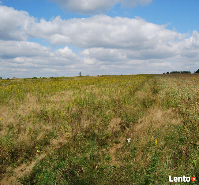Kopalnia piasku w Baranowie przy S17, 0,5 zł za tonę kopalin