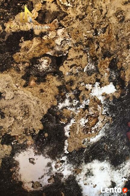 Fornir kamienny transparentny Rustic Black / STONELAND