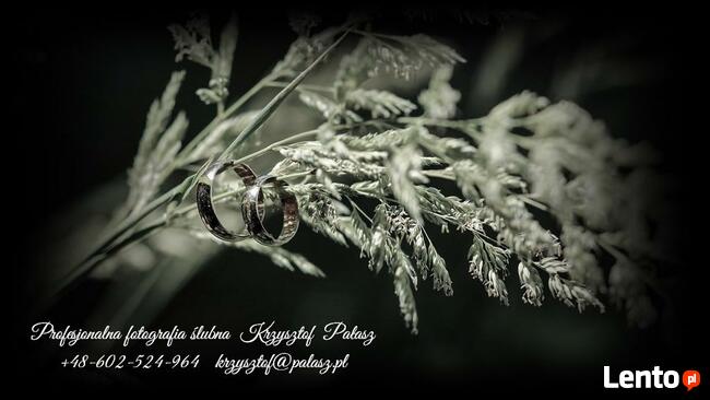 Fotografia i Wideofilmowanie Krzysztof Pałasz Polska