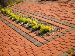 Zapraszamy do ogrodu wystawowego Konin ul. Europejska !