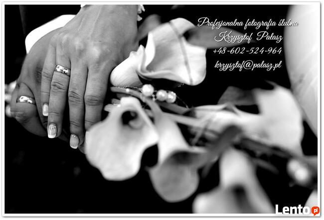 Fotografia i Wideofilmowanie Krzysztof Pałasz Polska