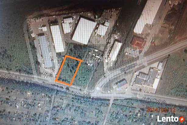 Wydzierżawię Działka 10 arów Jelcz-Laskowice