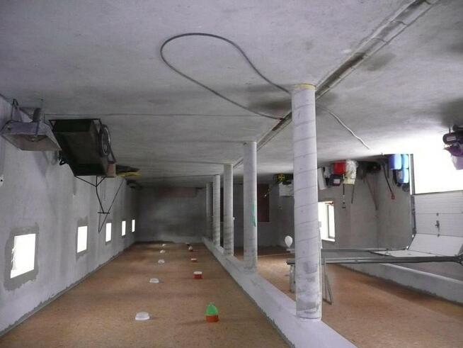 sprzedam dom 900m2 i drugi dom 300m2 lub dwa 1200m2