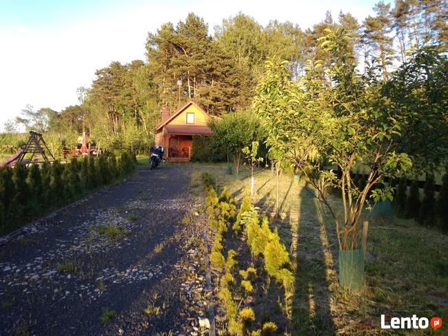 agroturystyka domek wynajem wakacje wędkarstwo