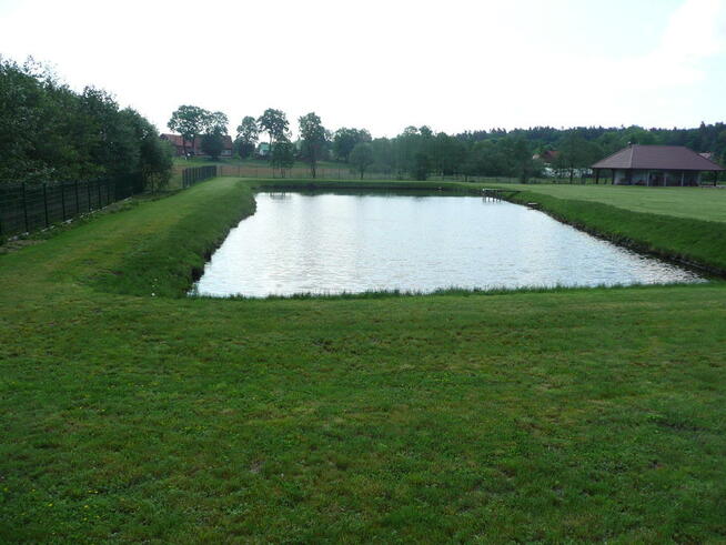 sprzedam dom 900m2 i drugi dom 300m2 lub dwa 1200m2