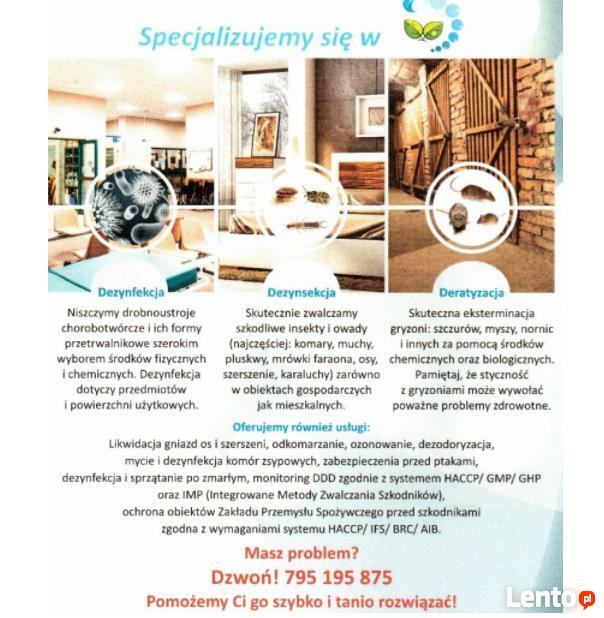 Dezynsekcja - pluskwy, mrówki, karaluchy, osy i inne