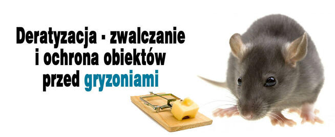 Zwalczanie Kun , Myszy, Szczurów , Prusaków, Pluskwy , Pcheł