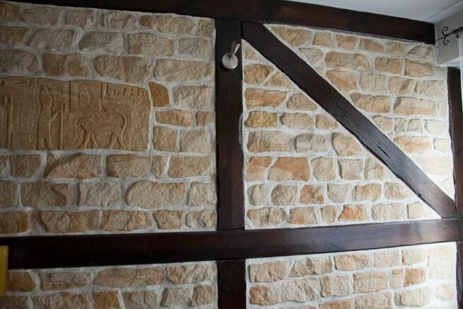 Stara cegła do salnu kuchni jadlani pokoju płytki elewacyjne