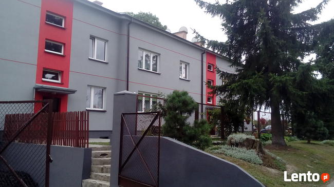 Malowanie, mycie, odgrzybianie elewacji, malowanie wnętrz