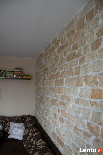 Stara cegła do salnu kuchni jadlani pokoju płytki elewacyjne