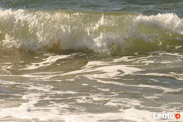 Działka budowlana nad morzem, bezpośrednio od właściciela