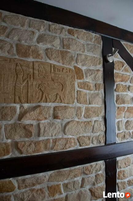 Stara cegła do salnu kuchni jadlani pokoju płytki elewacyjne