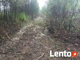 Sprzątanie działek Karczowanie wycinka
