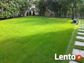 Pielęgnacja ogrodów Wertykulacja