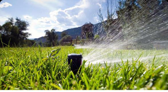 Automatyczne nawadnianie Systemy automatycznego nawadniania