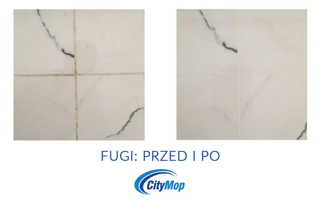 Sprzątanie firm, domów, mycie okien, pranie dywanów CityMop