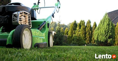 Pielęgnacja ogrodów Wertykulacja