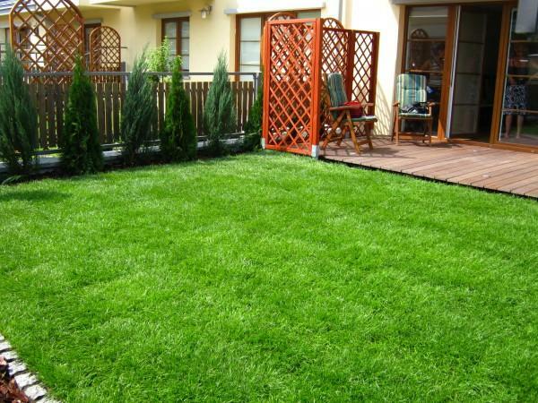 Zakładanie trawników Trawa z rolki Usługi minicignikiem