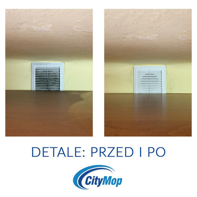Sprzątanie firm, domów, mycie okien, pranie dywanów CityMop