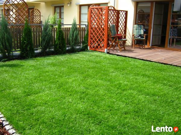 Pielęgnacja ogrodów Wertykulacja