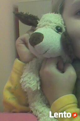 Kupię pieska pluszowego jak na zdjęciu.