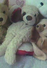 Kupię pieska pluszowego jak na zdjęciu.