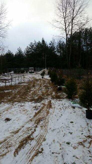 Działka rekreacyjna budowlana z linią brzegową i projektem