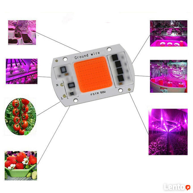 dioda full spektrum 30w 20w 50w do uprawy roślin