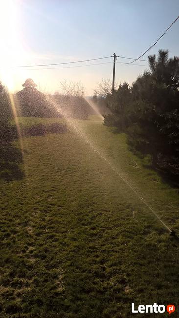 trawniki, pielęgnacja trawnika, aeracja, wertykulacja