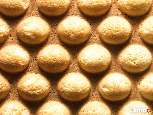 Gofrownica bąbelkowa gofry bąbelkowe 1415W Profesjonalna