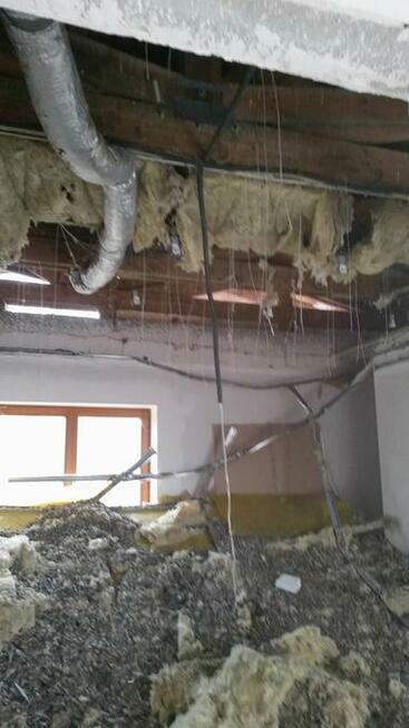 Sprzątanie, dezynfekcja po zgonie, eksmisji, gołębiach.