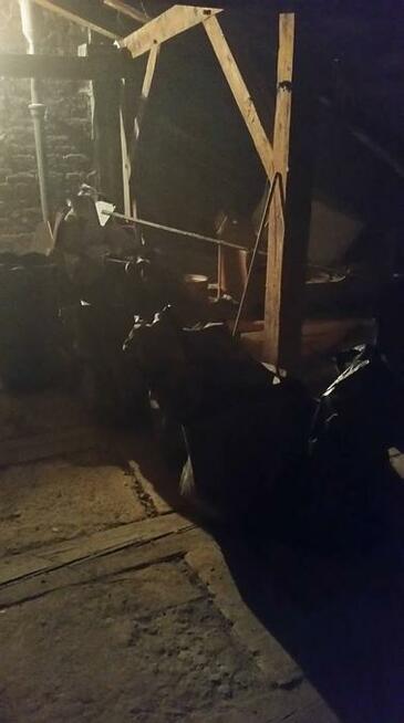 Sprzątanie, dezynfekcja po zgonie, eksmisji, gołębiach.