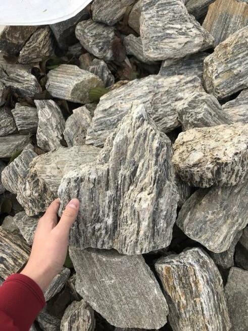 KORA KAMIENNA I GAT Łupek Drzewiasty Gnejs Gnejsowa WARSZAWA