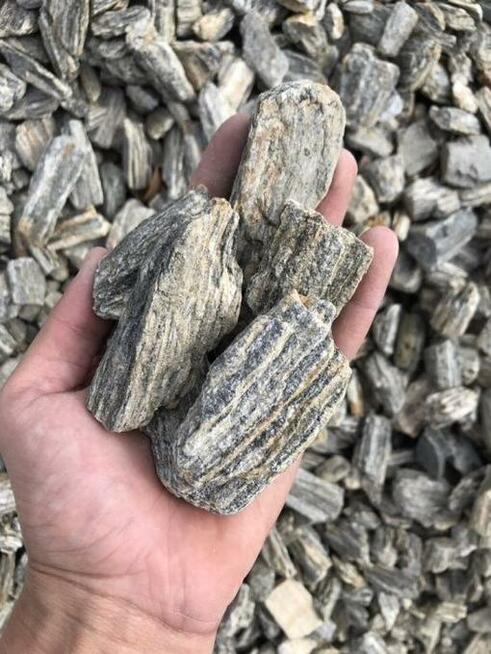 KORA KAMIENNA I GAT Łupek Drzewiasty Gnejs Gnejsowa WARSZAWA