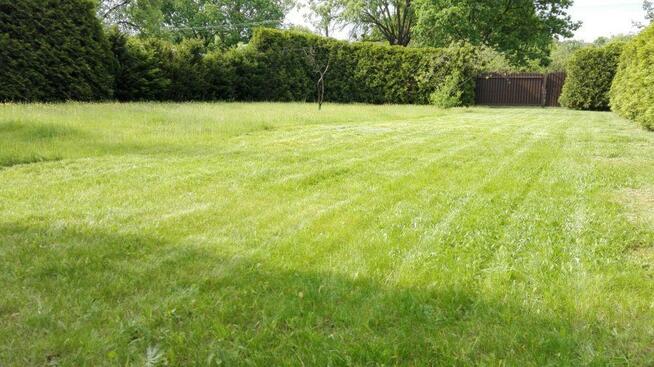 Wycinka drzew, ścinanie gałęzi, koszenie trawy