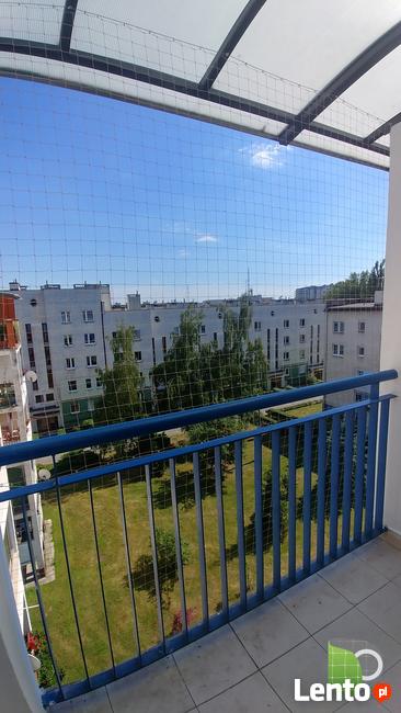 Siatka na balkon dla kota i na ptaki przeciw gołębiom