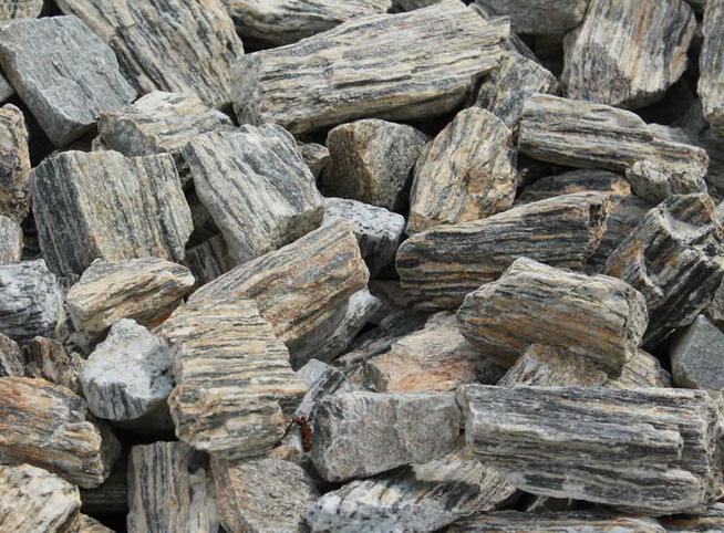 KORA KAMIENNA I GAT Łupek Drzewiasty Gnejs Gnejsowa WARSZAWA