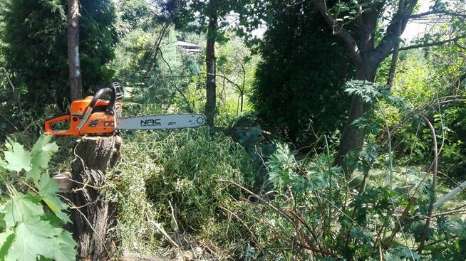 Wycinka drzew, ścinanie gałęzi, koszenie trawy