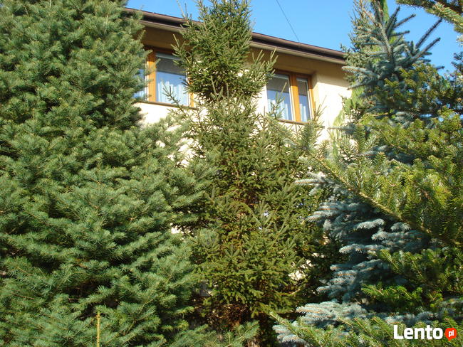 Noclegi Bielsk Podlaski Pokoje Gościnne