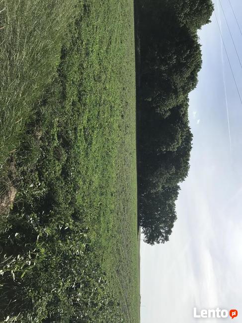 Działki budowlane, Mielno k. Pakości