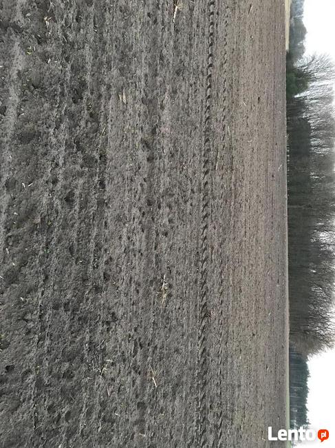 Działki budowlane, Mielno k. Pakości